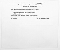 Image Associated With the Occurence